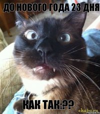 До нового года 23 дня как так:??