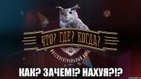  как? зачем!? нахуя?!?