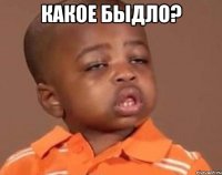Какое быдло? 