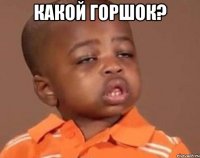 какой горшок? 
