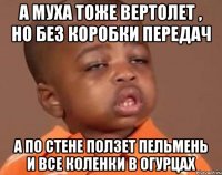 а муха тоже вертолет , но без коробки передач а по стене ползет пельмень и все коленки в огурцах