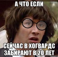 А ЧТО ЕСЛИ СЕЙЧАС В ХОГВАРДС ЗАБИРАЮТ В 20 ЛЕТ