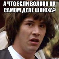 А что если Волков на самом деле шлюха? 