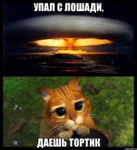 Упал с лошади, даешь тортик