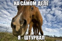 На самом деле я - штурвал