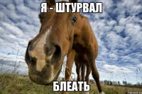 Я - штурвал блеать