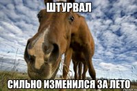 Штурвал сильно изменился за лето