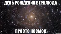 День Рождения Верблюда просто космос