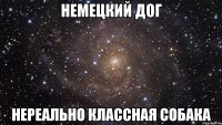 Немецкий дог нереально классная собака