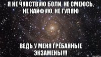 Я не чувствую боли, не смеюсь, не кайфую, не гуляю Ведь у меня грёбанные экзамены!!!