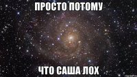 просто потому что саша лох