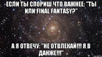 Если ты спориш что важнее: "ты или Final Fantasy?" а я отвечу: "не отвлекай!!! я в данже!!!"