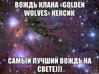 Вождь клана «Golden Wolves» КЕКСИК Самый лучший вождь на свете)))