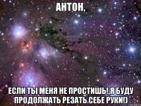 Антон, если ты меня не простишь!,я буду продолжать резать себе руки!)