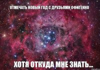 Отмечать новый год с друзьями офигенно Хотя откуда мне знать...