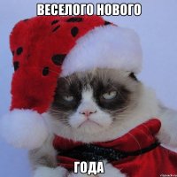 ВЕСЕЛОГО НОВОГО ГОДА