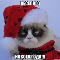 ВЕСЕЛОГО НОВОГО ГОДА!!!