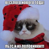 ВЕСЕЛОГО НОВОГО ГОДА! ЛБ2C и их половинки!!!