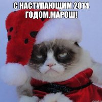 С Наступающим 2014 годом,Марош! 