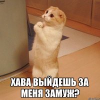  ХАВА выйдешь за меня замуж?