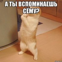 А ты вспоминаешь Сёму? 