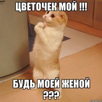 Цветочек мой !!! Будь моей женой ???