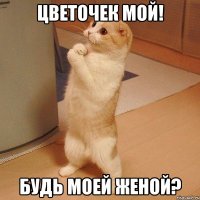 Цветочек мой! Будь моей женой?