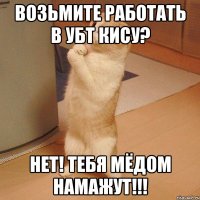 Возьмите работать в УБТ кису? НЕТ! ТЕБЯ МЁДОМ НАМАЖУТ!!!