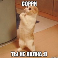 Сорри Ты не лалка :D