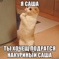 я Саша ты хочещ подратся накуриный Саша