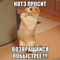 Котэ просит Возвращайся побыстрее !!!