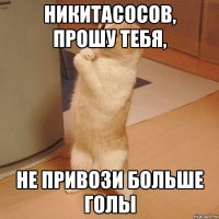 никитасосов, прошу тебя, не привози больше голы