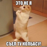 Это не я съел ту колбасу!