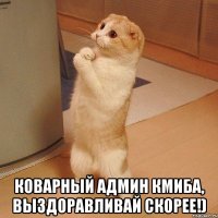  Коварный Админ Кмиба, Выздоравливай скорее!)