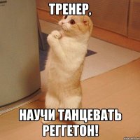 Тренер, научи танцевать реггетон!