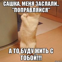 Сашка, меня заслали.. "Поправляйся" А то буду жить с тобой!!!