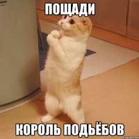 Пощади Король подьёбов