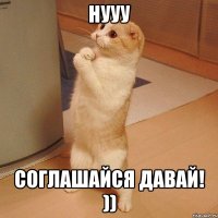 Нууу Соглашайся давай! ))