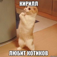 Кирилл любит котиков