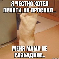 Я честно хотел прийти, но проспал... меня мама не разбудила..