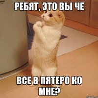 Ребят, это вы че все в пятеро ко мне?