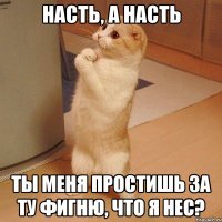 Насть, а Насть Ты меня простишь за ту фигню, что я нес?