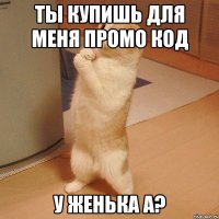 Ты купишь для меня промо код у Женька а?