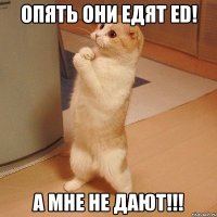 Опять они едят ED! А МНЕ НЕ ДАЮТ!!!