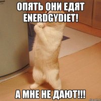 Опять они едят EnerdgyDiet! А МНЕ НЕ ДАЮТ!!!