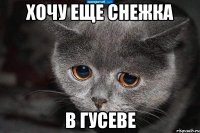 хочу еще снежка в Гусеве