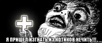  Я пришел изгнать из котиков нечить!!!