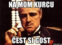 na mom kurcu čest si gost