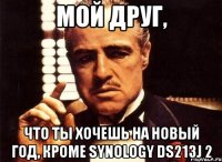 мой друг, что ты хочешь на новый год, кроме Synology DS213J 2