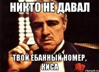 Никто не давал Твой ебанный номер, киса